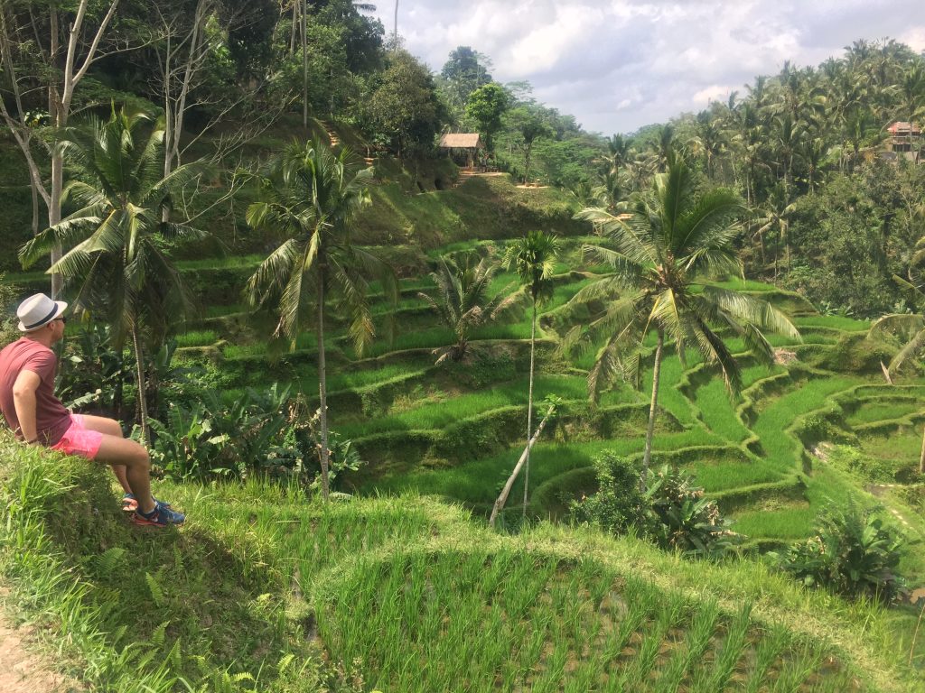 Route Indonesië tegalalang rijstvelden ubud