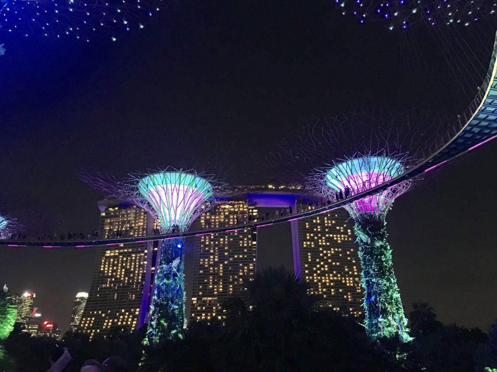 Tips overstap Singapore: Lichtshow Gardens by The Bay