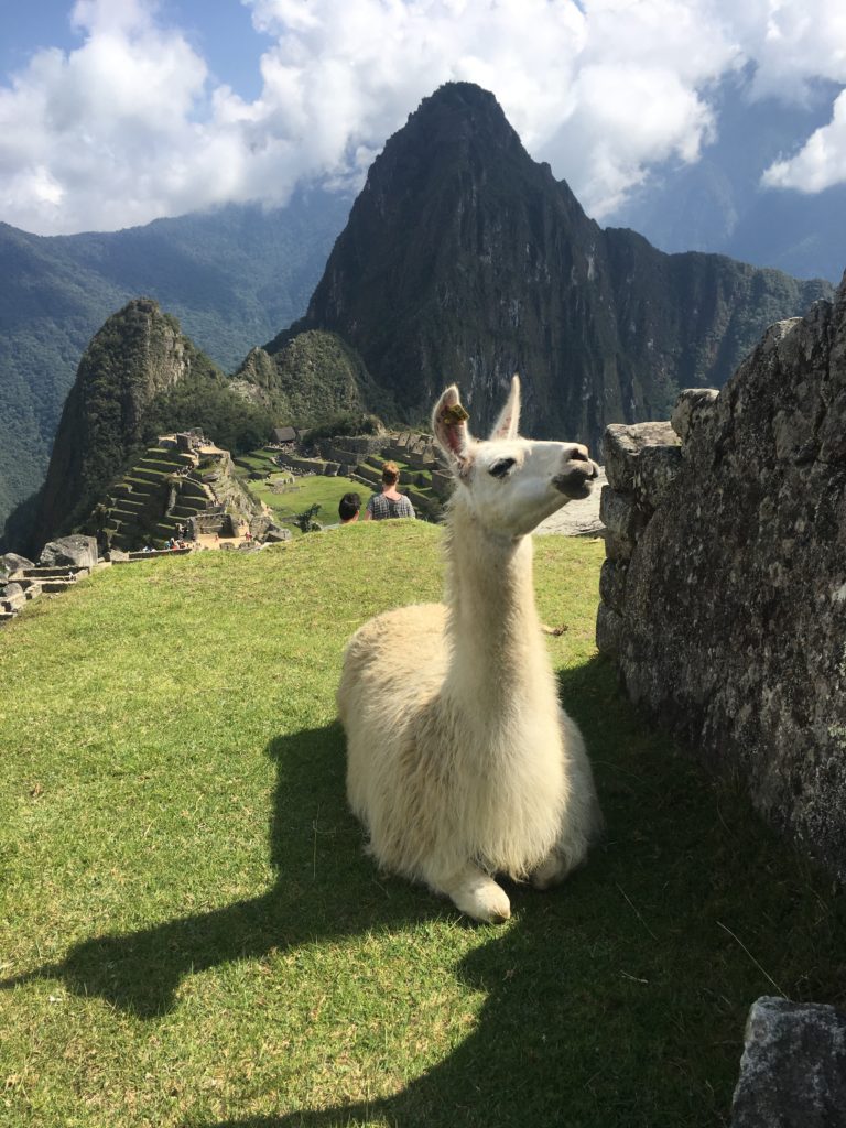 Route Peru in 4-5 weken: Machu Picchu