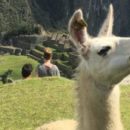 Route Peru in 4-5 weken: Machu Picchu