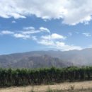 Wijnroute door Argentinië: Het landschap rondom Cafayate